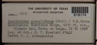 Image Associated With the Occurence